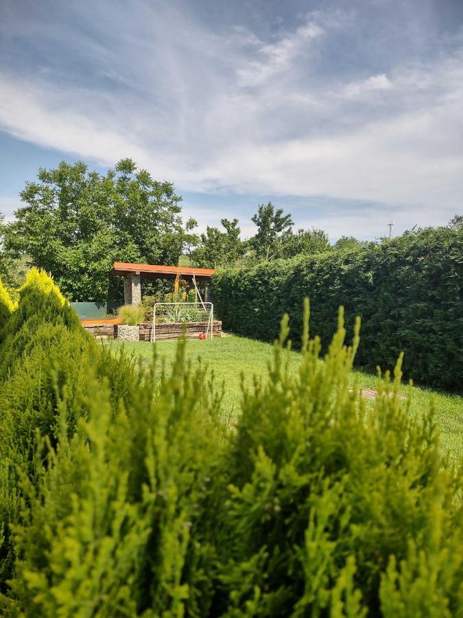 Privat Arcadia Apartment Podhajska Bagian luar foto